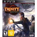 Jogo Trinity: Souls of Zill O'll - PS3