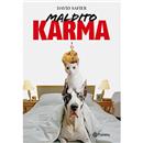 Livro - Maldito Karma