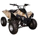 Mini Quadriciclo Motorizado Fun Board QUAD4C4TF...