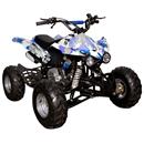 Mini Quadriciclo Motorizado Fun Board QUAD4C4TG...