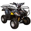 Mini Quadriciclo Motorizado Fun Board QUAD4C4TL...