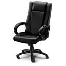 Cadeira Executiva de Massagem Shiatsu Homedics ...