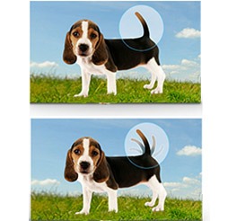 Smart DV150F: Motion Photo Smart DV150F: Motion Photo