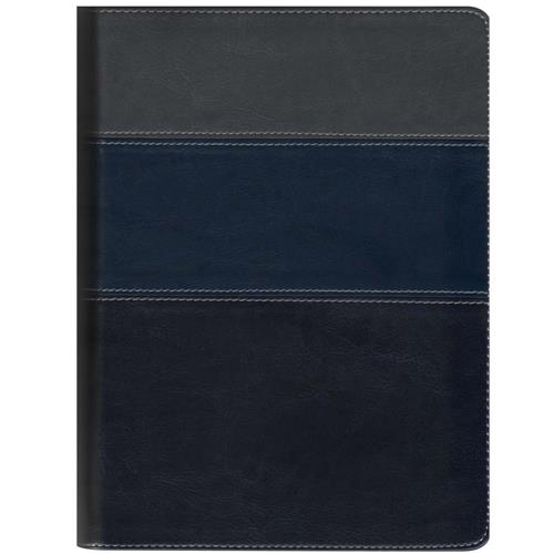 Menor preço em Livro - Bíblia Thompson - Luxo ( Azul e Cinza )