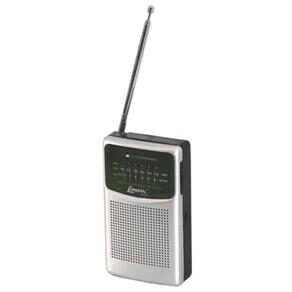 Resultado de imagem para radinho