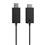 Adaptador Microsoft HDMI Wireless Display