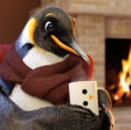 Imagem ilustrativa Inverno