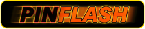 Pin Flash - Confira