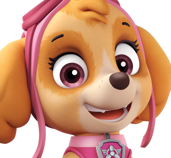 A imagem mostra a personagem Skye com a descrição dela