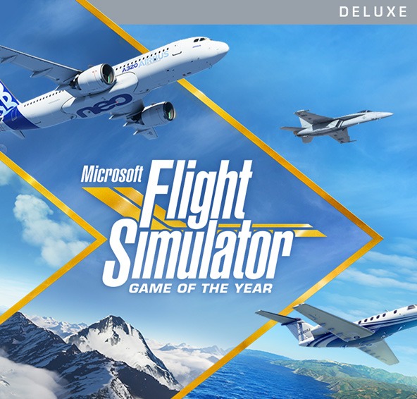 Flight Simulator