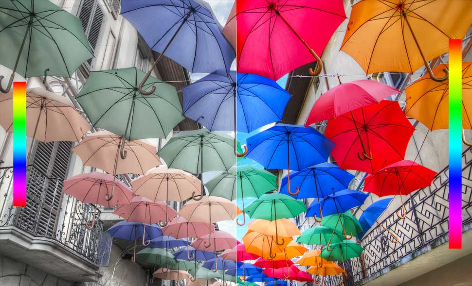 O brilho da vida, revelado com mais cores O brilho da vida, revelado com mais cores