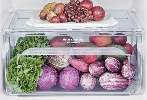 gaveta do Refrigerador Electrolux Frost Free TF51 gaveta do Refrigerador Electrolux Frost Free TF51