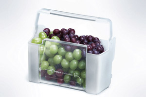 Geladeira Frost Free i.Kitchen Cesta Frutas Delicadas