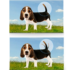 Smart DV150F: Motion Photo
