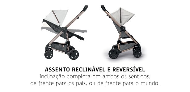 Assento Reclinável e Reversível Assento Reclinável e Reversível