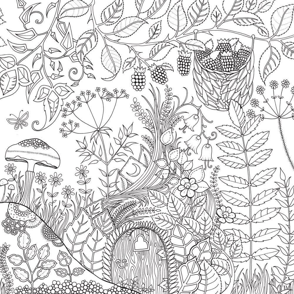 Livro - Floresta Encantada: Livro de Colorir e Caça ao Tesouro ...