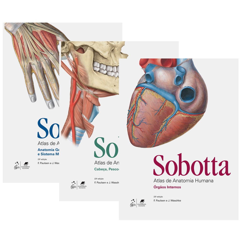 ATLAS DE ANATOMIA SOBOTTA EM PORTUGUES BAIXAR - chrisbain.me