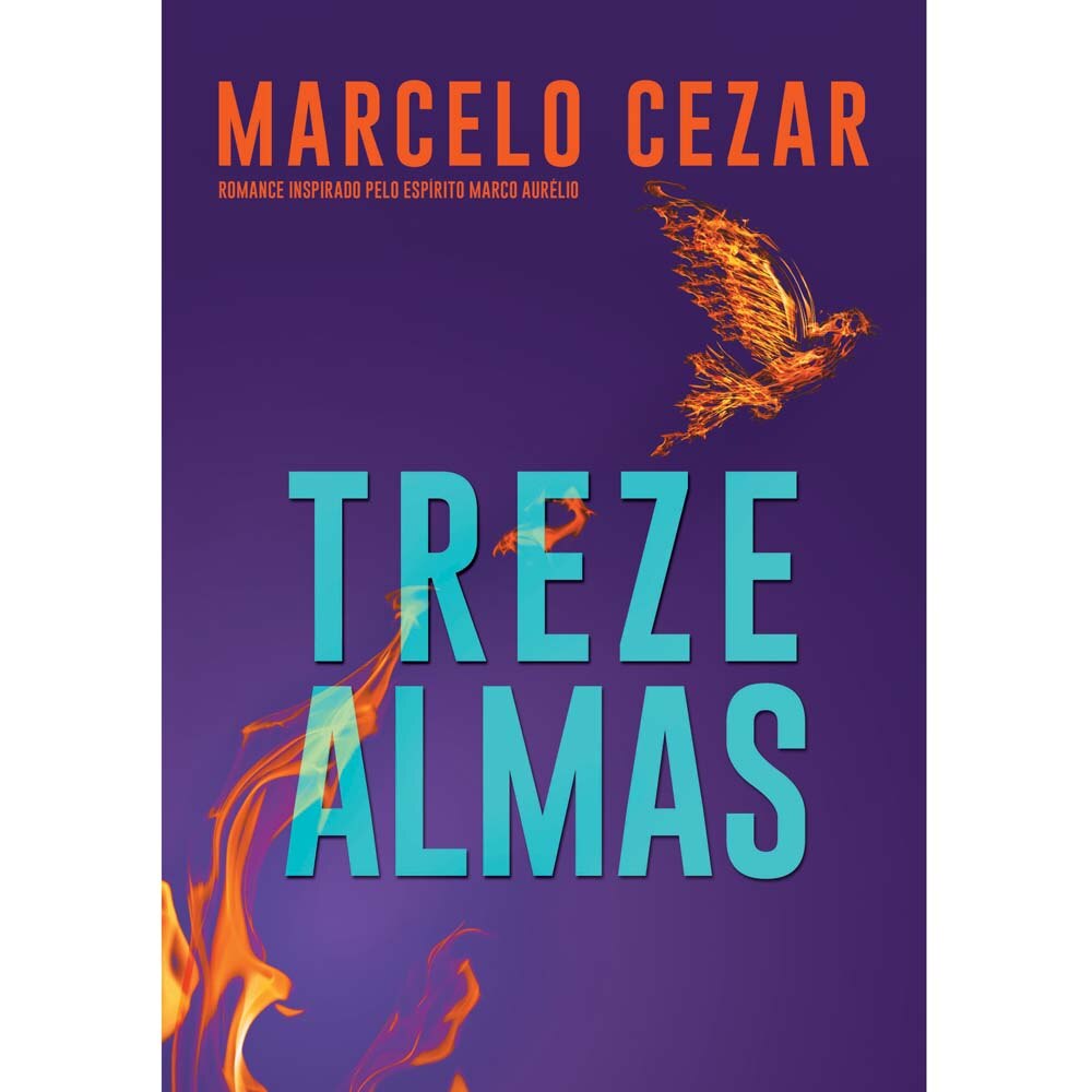Livro - Treze Almas - Marcelo Cezar - Espiritismo | Ponto